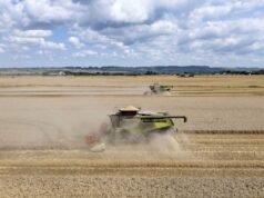 Por que os supermercados estão colocando indústrias-chave em “risco financeiro”