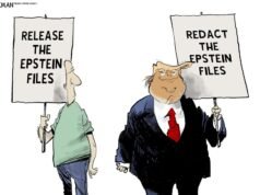 Desenhos animados: Lançamento, Schmeliz