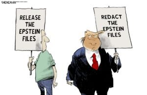 Desenhos animados: Lançamento, Schmeliz