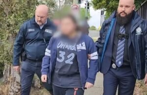 David Dekesian evitou a prisão depois de admitir em tribunal que seu vício em pornografia levou ao acesso a mais de 22.000 arquivos de material “degradante” de abuso infantil