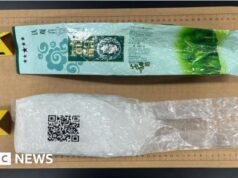 Cetamina disfarçada de chá chega à costa da ilha sul-coreana de Jeju