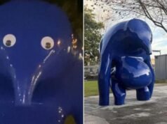 Vandalismo de ‘Blue Blob’: adolescente acusado de brincadeira com os olhos arregalados de Mount Gambier, pediu ajuda para pagar honorários advocatícios