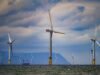 A energia eólica britânica atinge novo recorde como marco zero da rede de carbono do operador