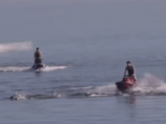 Três pilotos de jet ski acusados de supostamente passar por um grupo de golfinhos perto da praia de Adelaide