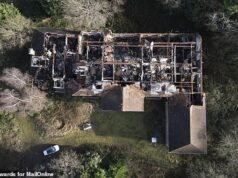 O homem que é dono da controvérsia bilionária da Grã-Bretanha: como as sanções ao empresário iraniano deixaram 11 conspirações extravagantes no limbo