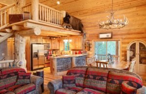 A mulher disse que havia um pássaro na casa dela, mas na verdade Kara estava lá dentro