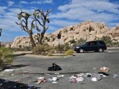 Monumentos vandalizados, base jumping ilegal e ‘bear jams’: fechamentos causam estragos em parques nacionais