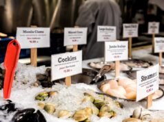 Latinos pescam. Por que eles não estão na mesa de tomada de decisões? | opinião