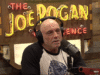 Joe Rogan zomba de Trump por causa dos arquivos de Epstein, e o apresentador do podcast admite que considerou comprar a ilha particular de Epstein
