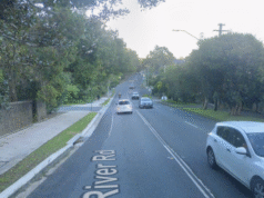 Uma mulher idosa morreu e outra está em estado crítico após uma colisão de dois carros na costa norte de Sydney.