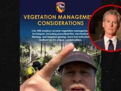 Spencer Pratt critica Gavin Newsom pelo incêndio em Palisades, diz que os advogados são idiotas ou mentirosos