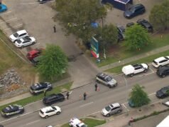 Mulher idosa morre após ser atropelada por carro em Narre Warren, Victoria