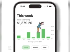 Jovem e experiente: usei o aplicativo Money Insights por 3 meses – aqui está o que aprendi