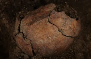 Espanha escava vítimas de assassinatos da era Franco; os esforços de reconstrução continuam