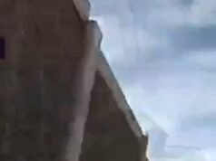 Polícia persegue porco fugitivo na I-40 no Novo México