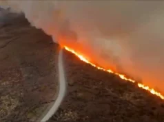Enquanto você dormia: 5 histórias que você pode ter perdido, 9 de novembro de 2025