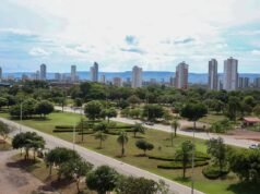 Dia Nacional da Consciência Negra: Veja o que abre e fecha durante o feriado em Palmas