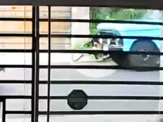 Vídeo: Menino de 14 anos morre após ser atropelado por caminhão enquanto andava de bicicleta em Bauru