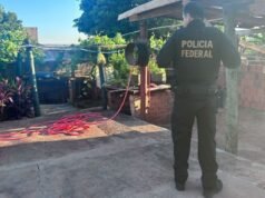 PF mira esquema que envia medicamentos da Suécia para SP