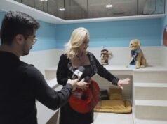 Piscina Cinematográfica, Suíte Pet, Cinema Shopping: Veja o que têm mansões luxuosas de milhões de dólares à venda no Brasil; vídeo