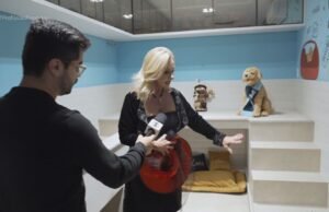 Piscina Cinematográfica, Suíte Pet, Cinema Shopping: Veja o que têm mansões luxuosas de milhões de dólares à venda no Brasil; vídeo