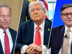 Os republicanos estão planejando acabar com os subsídios do Obamacare por causa do plano original de Trump