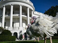 A maioria dos eleitores se sente confortável com diferentes visões políticas neste Dia de Ação de Graças