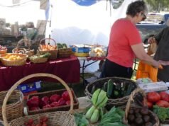 O apetite dos australianos por fontes alimentares está a mudar à medida que mais compradores se dirigem directamente à fonte, mas será que a própria indústria mudará?