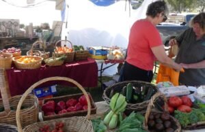 O apetite dos australianos por fontes alimentares está a mudar à medida que mais compradores se dirigem directamente à fonte, mas será que a própria indústria mudará?