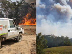 Bombeiro que morreu lutando contra o incêndio florestal de Bulahdela identificado como oficial de campo de 59 anos: ‘Pagou o preço final’