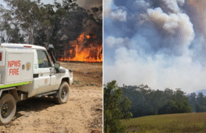 Bombeiro que morreu lutando contra o incêndio florestal de Bulahdela identificado como oficial de campo de 59 anos: ‘Pagou o preço final’