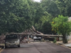 Árvores caíram e postes desabaram durante fortes chuvas em Prudente