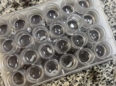 Como Covid e Oropouche podem prever o risco de doenças cerebrais