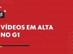 TCU recomenda que leilão do mega terminal de contêineres do porto de Santos seja realizado em duas fases