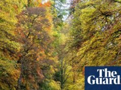 ‘É como caminhar no topo do mundo’: caminhar no novo telhado da Inglaterra dos Pennines Northumberland Holidays