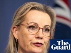 Coalizão instada a ignorar a ‘opinião de Pauline Hanson’, pois valoriza a abordagem radical à imigração Imigração e Asilo Australianos