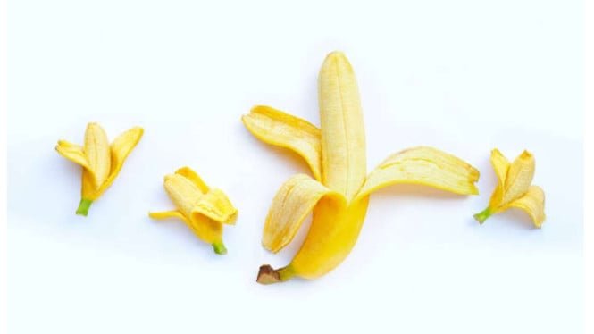 1765998797_63efbd6e60851-ilustrasi-pisang-sebagai-penis_665_374.jpeg