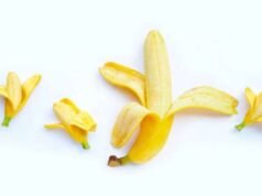 Os órgãos íntimos masculinos são normais? Esta é uma explicação especializada do que você precisa saber