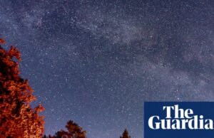 Observação de estrelas em Lake District: um novo observatório florestal é inaugurado em Grizedale Lake District Holidays