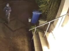 Tsai-Wei Hung: Como a rivalidade de três meses da ‘dona de casa do inferno’ terminou em incêndio na casa de Melbourne