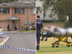 Mulher lutando pela vida após ser esmagada até a morte em suposto ataque DV em Narellan Vale, sudoeste de Sydney