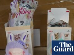 ‘Bom demais para ser verdade’: pais alertados para verificar antes de comprar em meio a uma enxurrada de brinquedos falsificados Crime