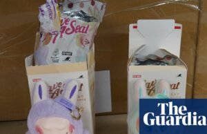 ‘Bom demais para ser verdade’: pais alertados para verificar antes de comprar em meio a uma enxurrada de brinquedos falsificados Crime