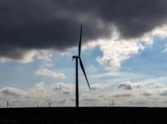 Administração Trump interrompe projetos eólicos offshore dos EUA por motivos de “segurança nacional”