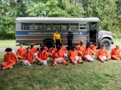 O que esperar do episódio 8 da 4ª temporada de Fire Country: Novos começos