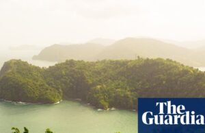 Crítica Ever Since We Are Small de Celeste Mohammed – uma história caribenha com um grande coração | Imaginação