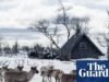 Onde vive o verdadeiro Rudolph: criação de renas com o povo Sami nas férias de vida selvagem no Velho Oeste da Suécia