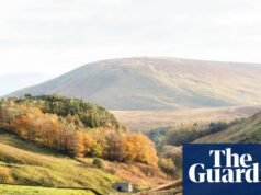 Os meteorologistas dizem que é “altamente provável” que 2025 seja o ano mais quente já registado no Reino Unido. clima no Reino Unido