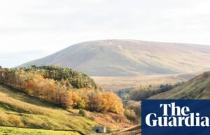 Os meteorologistas dizem que é “altamente provável” que 2025 seja o ano mais quente já registado no Reino Unido. clima no Reino Unido