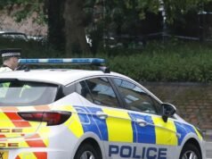 Centenas de artefatos de “alto valor” roubados do Museu Britânico de Bristol